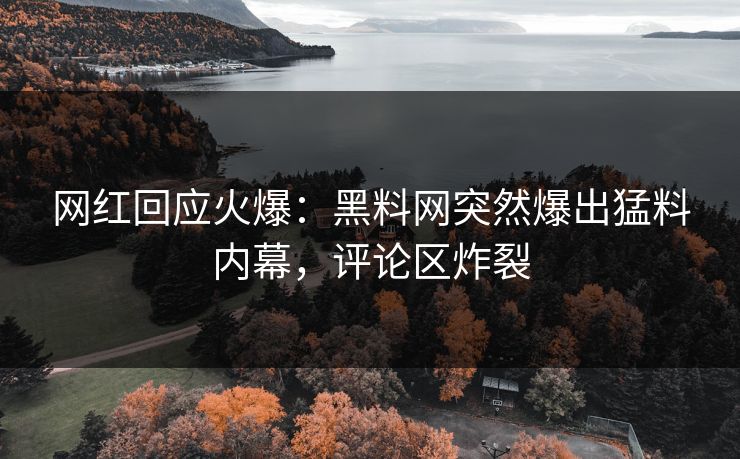 网红回应火爆：黑料网突然爆出猛料内幕，评论区炸裂