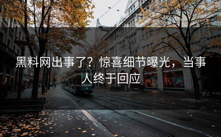 黑料网出事了？惊喜细节曝光，当事人终于回应