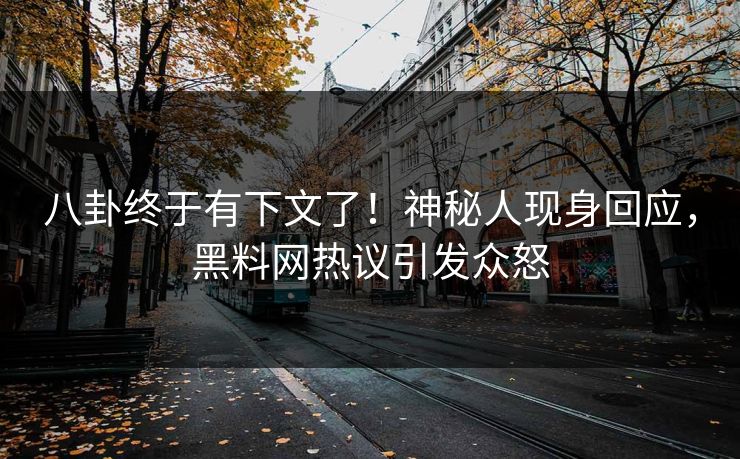 八卦终于有下文了！神秘人现身回应，黑料网热议引发众怒