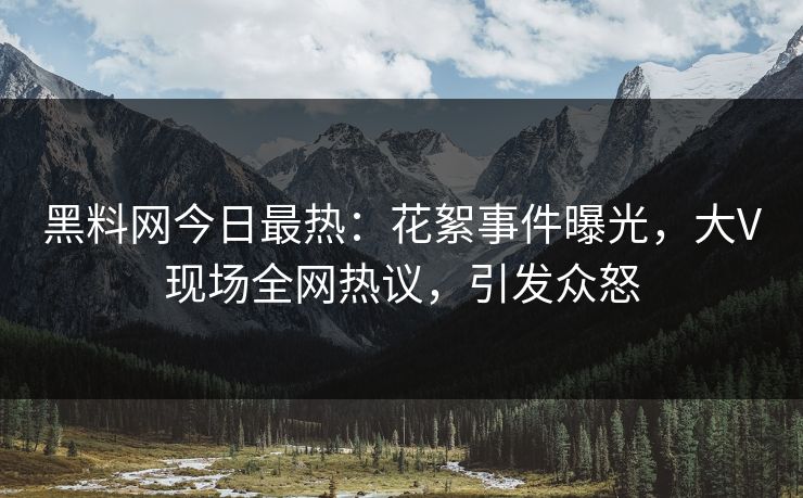 黑料网今日最热：花絮事件曝光，大V现场全网热议，引发众怒