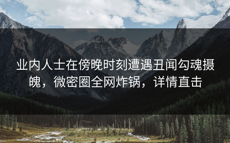 业内人士在傍晚时刻遭遇丑闻勾魂摄魄，微密圈全网炸锅，详情直击