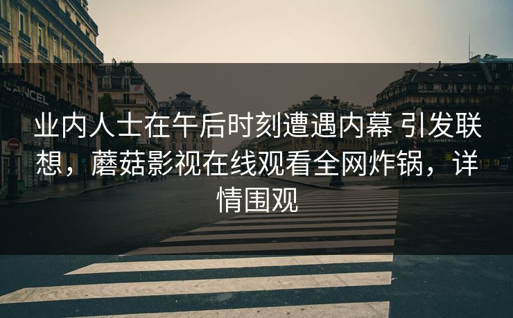 业内人士在午后时刻遭遇内幕 引发联想，蘑菇影视在线观看全网炸锅，详情围观
