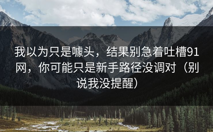 我以为只是噱头，结果别急着吐槽91网，你可能只是新手路径没调对（别说我没提醒）